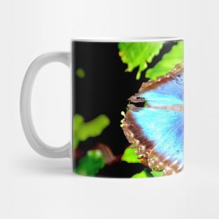 Morphofalter Schmetterling / Swiss Artwork Photography Mug